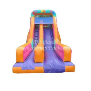 H2-1301 Inflatable slide bounce house