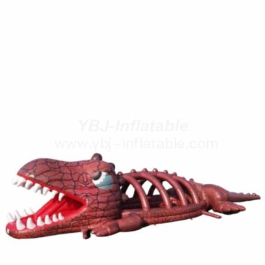 Pool2-750 Crocodile Pool Water Park