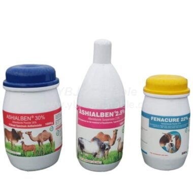 S4-553 Large Airtight Tank Inflatable Shape