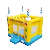 T2-2837 Birthday Party Inflatable Bouncer