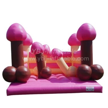 T2-4091 Adult Bouncer