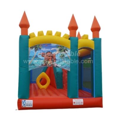 T5-1002G Multiple Themes Bouncy Castle