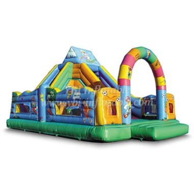T6-183 Outdoor Giant Inflatable