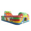 T6-205 Outdoor Giant Inflatable
