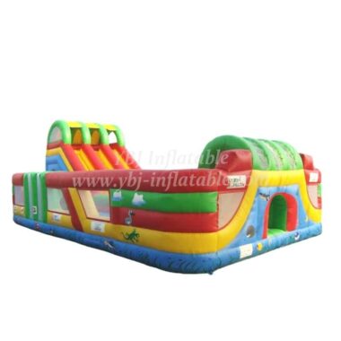 T6-205 Outdoor Giant Inflatable