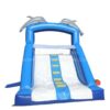 T8-1286 Dolphin Inflatable Slides - Image 4