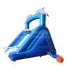 T8-1286 Dolphin Inflatable Slides - Image 5