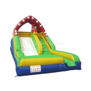 T8-494 Shark Giant Double Lane Inflatable Slide