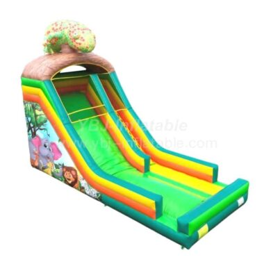 T8-562B Chameleon Inflatable Slide