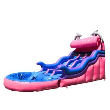 H2-2152 Outdoor dolphin style inflatable water slide
