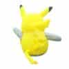 cartoot1-388 Pokémon Pikachu Inflatable Cartoons - Image 4