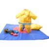 H5-8116 Competition Sumo Suit - Image 2