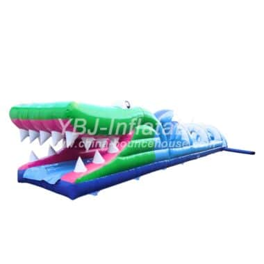 H8-0010 The crocodile slips and slides
