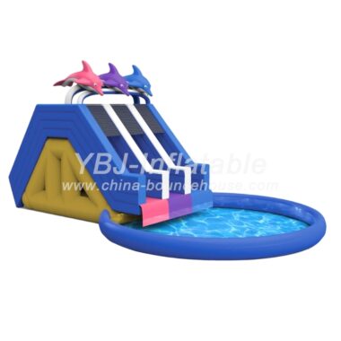 H8-1007 Dolphin Pool Water Park